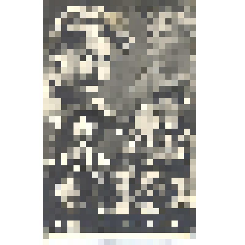 Набор почтовых открыток из 20 шт., ч/б