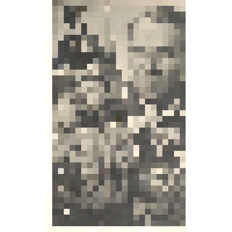 Набор почтовых открыток из 20 шт., ч/б