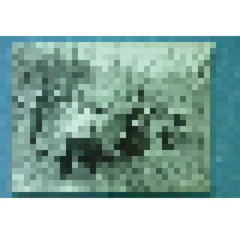 Фотография групповая