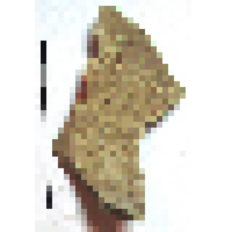 Фрагмент нижней части горла амфоры типа D с дипинто