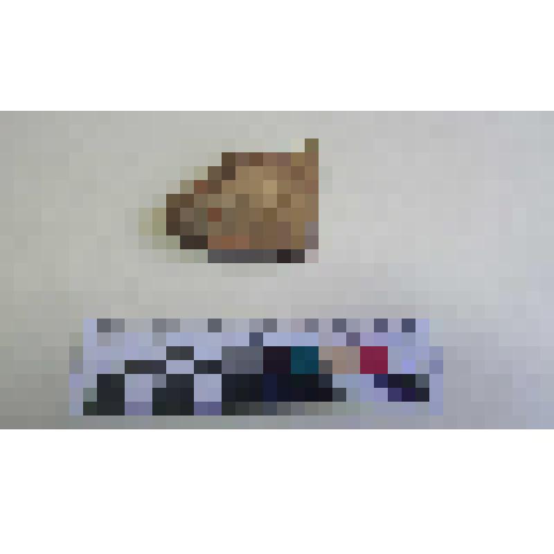 Фрагмент дна краснолаковой миски