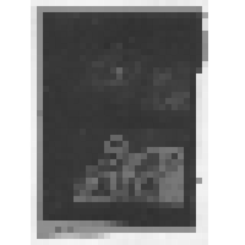 Негатив ч/б. Усадебный дом в Берсеневке