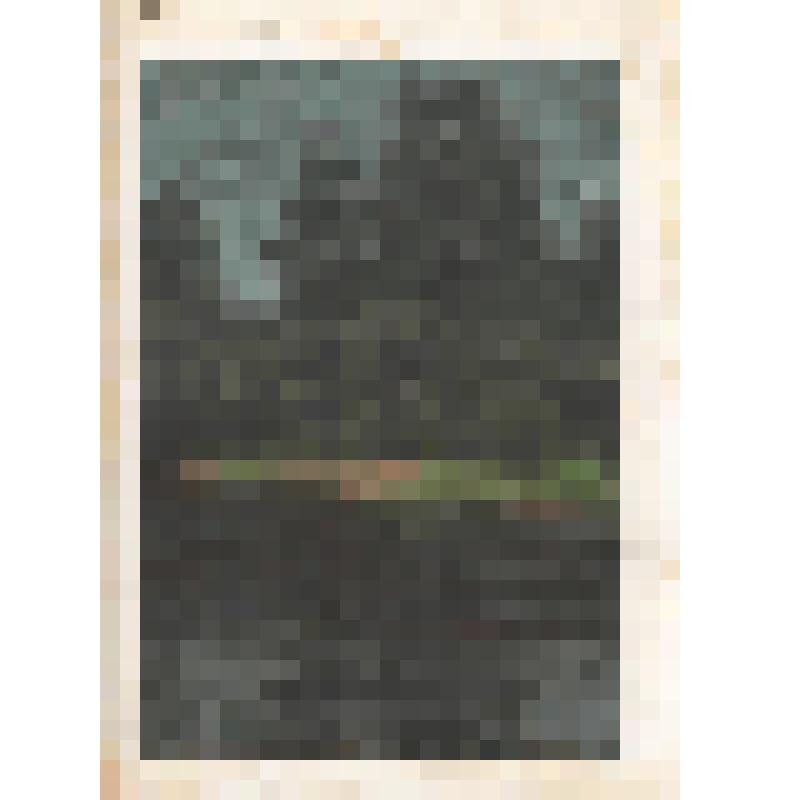 Этюд [Пасмурный день у реки.]
