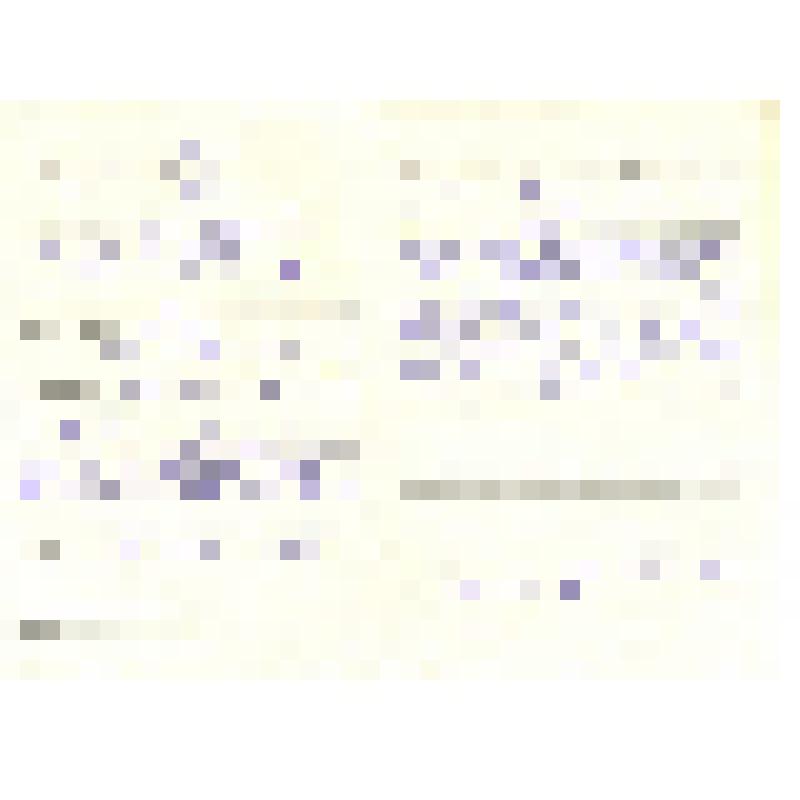 Анкета ветерана Великой Отечественной войны Иванова Сергея Алексеевича, 1912 г.р