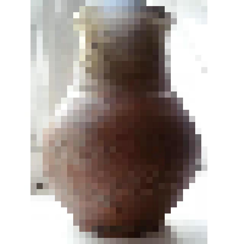 Крынка из именья М.Н.Ермоловой в Калабриево