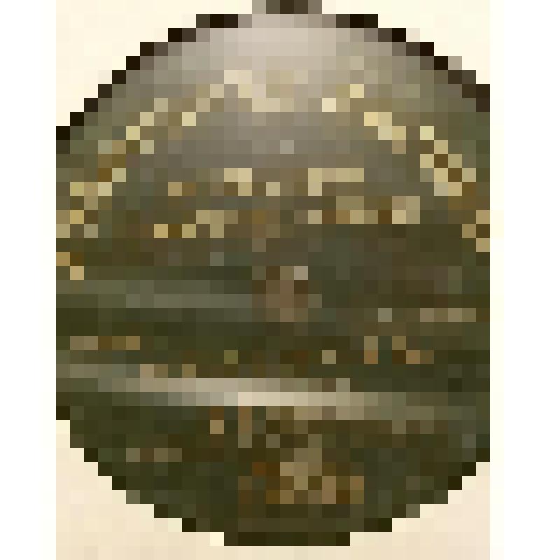 Грампластинка. Пьеса: "Мне снился сон". Каринская М.А. /романс/. Россия, Москва; Пьеса: "Василек". Исполняет Кариснкая М.А. /романс/ Россия. Москва