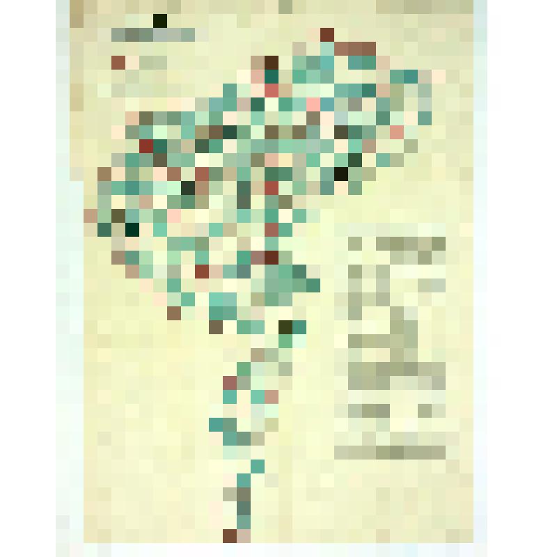 Карта распределения земской медицинской помощи в Саратовской губернии в 1908 году