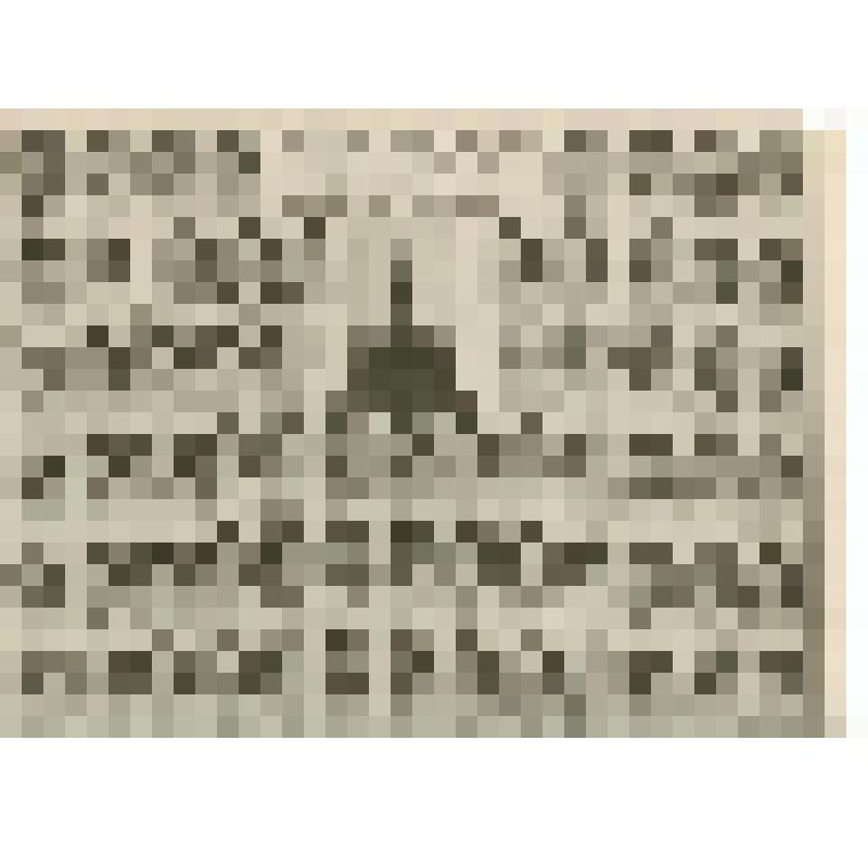 Фотография. Выпуск 1961 г. биологического факультета СГУ, из коллекции материалов Хохлова Сергея Спиридоновича (1910-1974), саратовского ученого-генетика, доктора биологических наук, профессора, зав.кафедрой генетики и дарвинизма СГУ