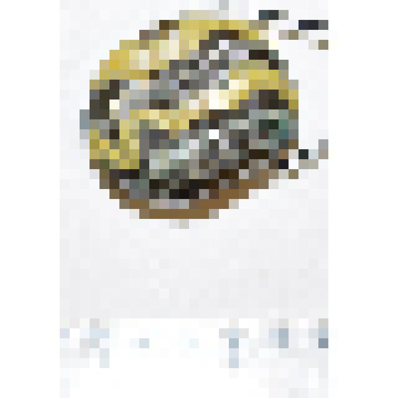 Бусина, из коллекции археологических находок из раскопок и сборов с Хмелевского I селища в 2000-2001 гг