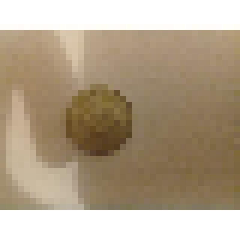 Монета 20 копеек 1990 г