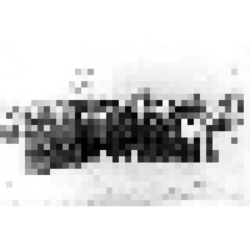 Сотрудники Азовского ОВД во время дежурства возле Мемориала "Погибшим за Родину" в г.Азове в дни празднования Дня Победы