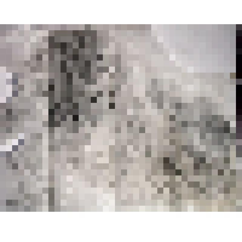 Копия с местонахождения Калбак-Таш (Алтай)