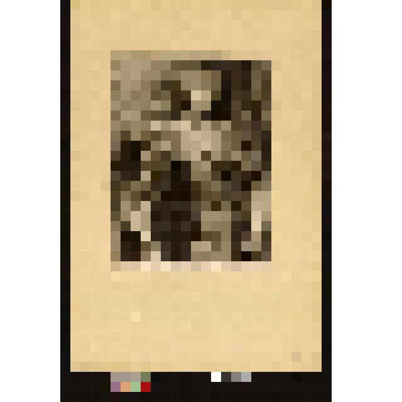 Портрет Марии Клары де Круайо