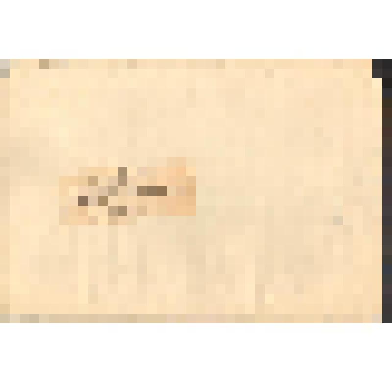 Фотография. Партизаны 6 ЛПБ у бронемашины отбитой у немцев, февраль 1944. (Видовая)