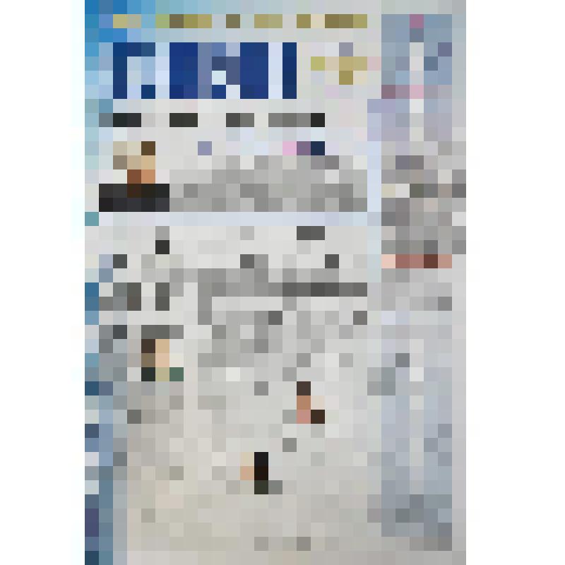 Газета. Горизонт № 4, апрель 2003 г. Газета Сибирского государственного аэрокосмического университета им. академика М.Ф. Решетнева. С подписями космонавтов Соломко Ю.М. и Лазуткина А.И