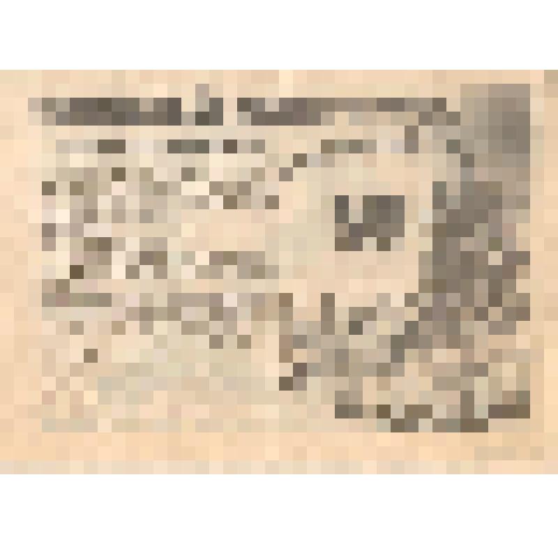 Сломай систему! Наши требования к власти /Общественно-политическая организация "Авангард красной молодёжи". Листовка