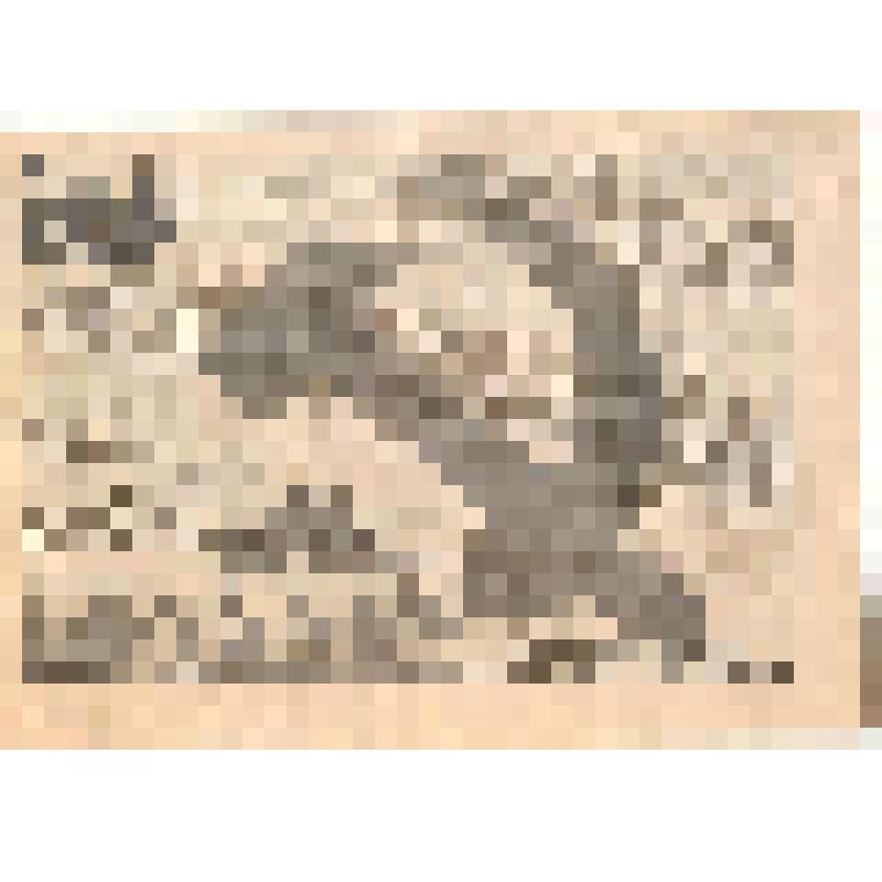 Сломай систему! Наши требования к власти /Общественно-политическая организация "Авангард красной молодёжи". Листовка