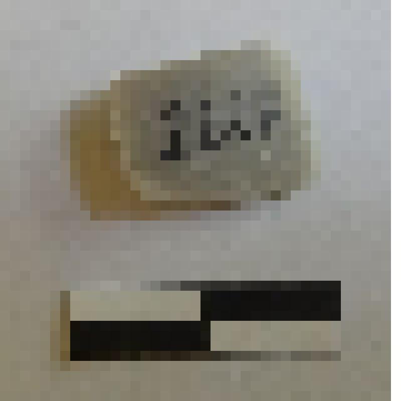 Сечение пластины