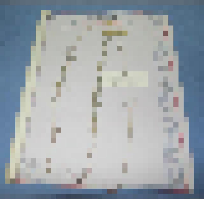 Ботаническая коллекция. Тысячелистник обыкновенный, семейство сложноцветные, на гербарном листе,с. Таштып,левый берег реки