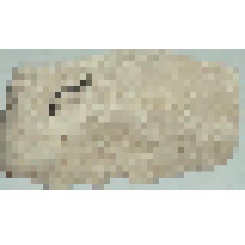 Раствор, фрагмент