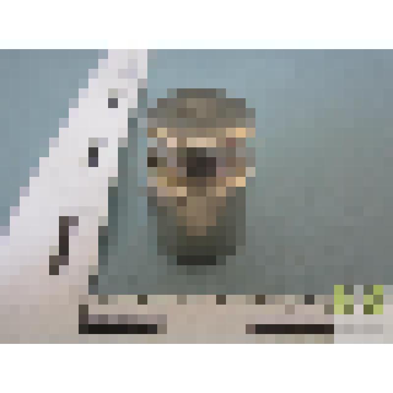 Гиря из комплекта