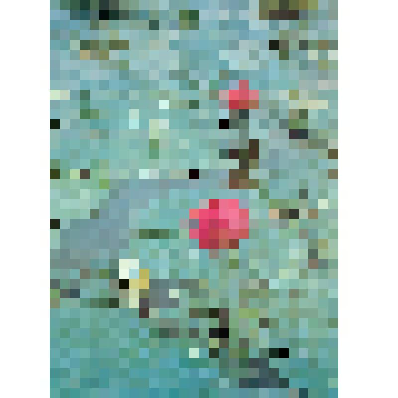 Комплект открыток «Приморье - Primorye», 10 шт