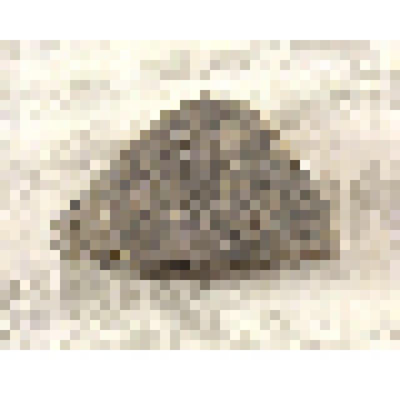 Фрагмент керамики