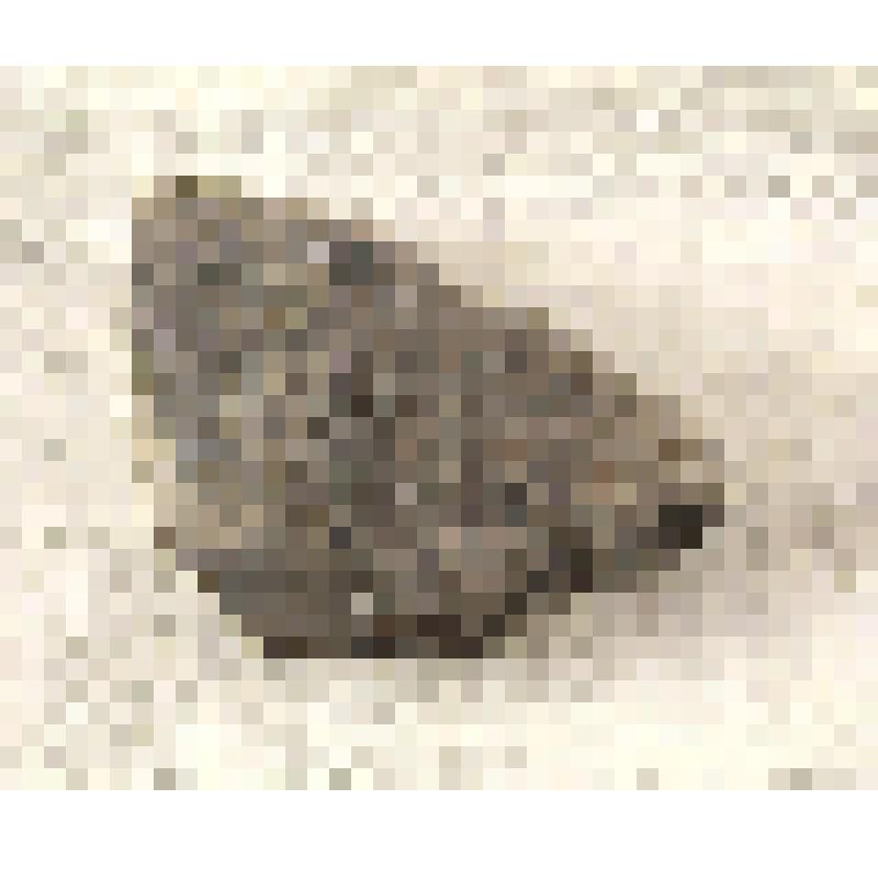 Фрагмент керамики