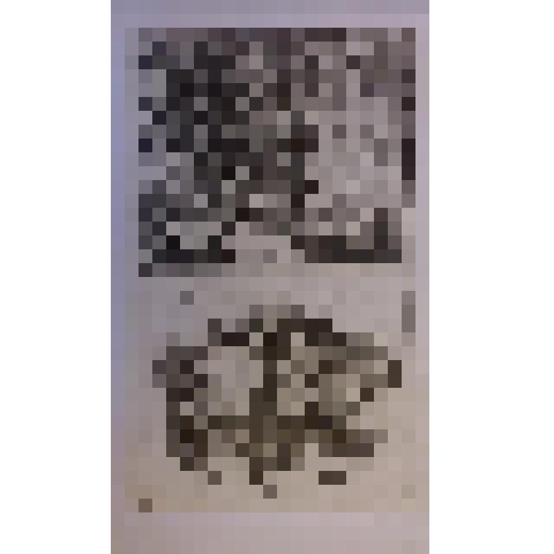 Офорт. Лист 18. Ангелы выводят Лота с семьей из Содома. Дочери поят Лота вином, чтобы переспать с ним.(Быт. 19)