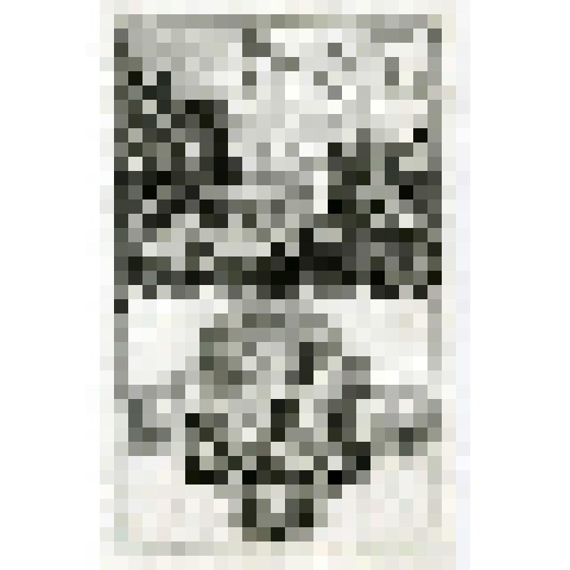 Офорт. Лист 116. Видения Иезекиилю. Видение оживающих костей. (Иез. 1, 37)