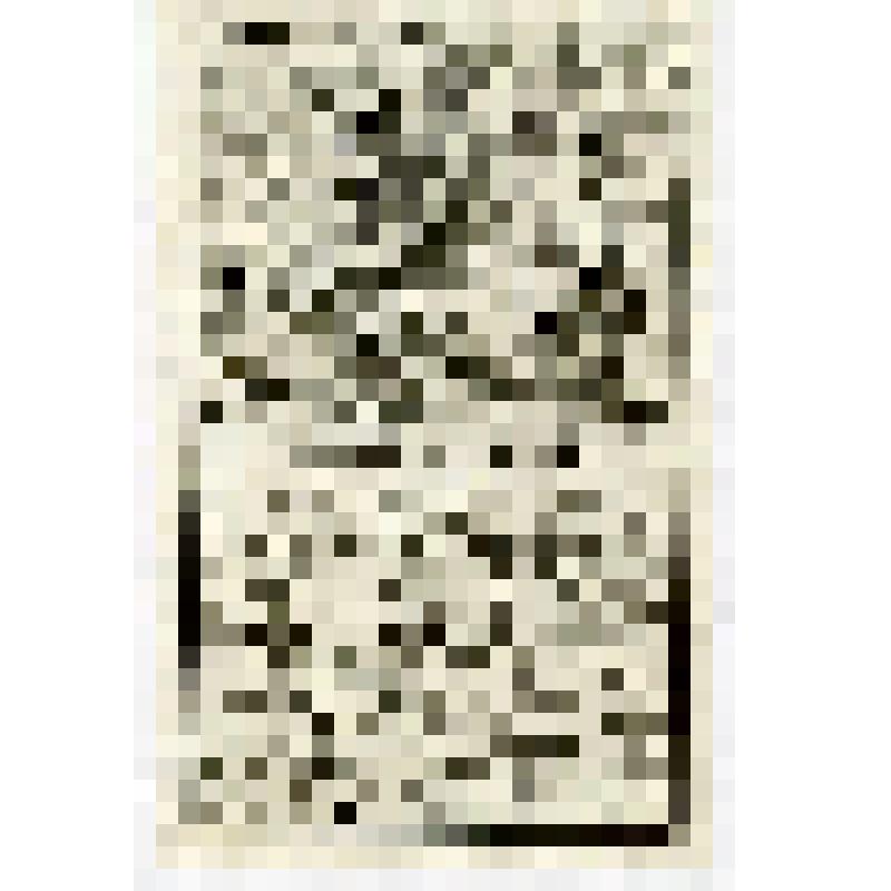 Офорт. Лист 113. Иллюстрации к Книге пророка Исаии (?). План Иерусалима и карта Ближнего Востока