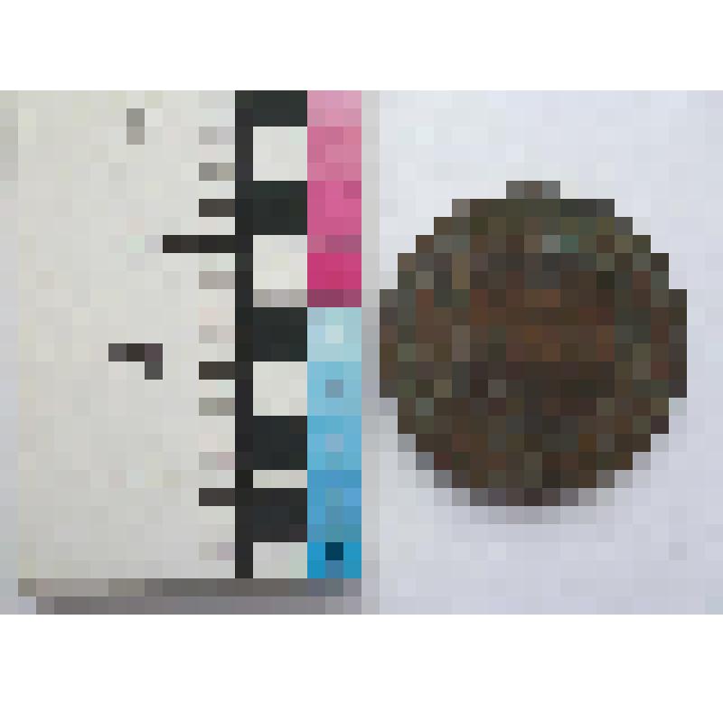 Монета 3 копейки