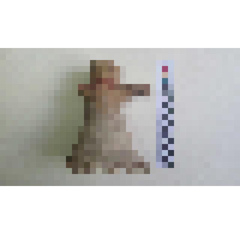 Горло амфоры типа D с дипинти