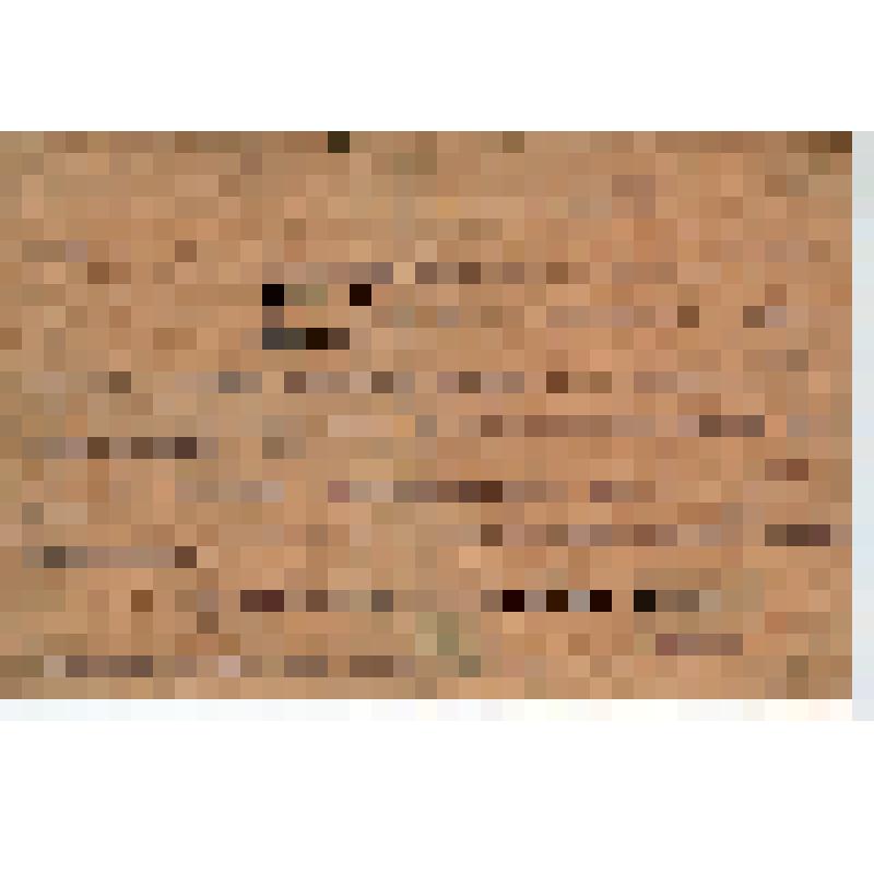 Удостоверение т. N21 Васильева В.З