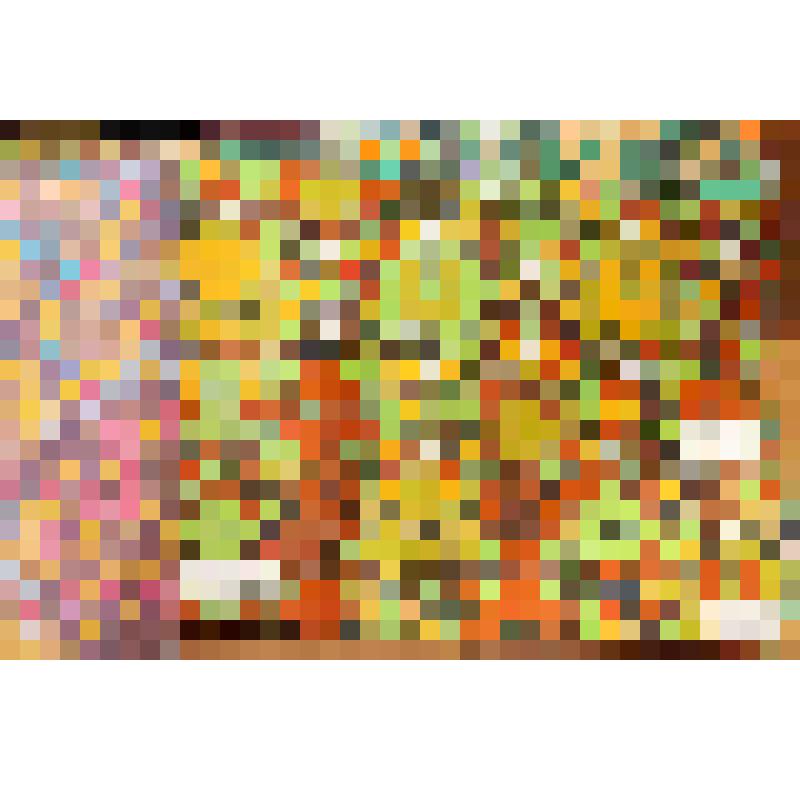 Образец сатина набивного, в альбоме