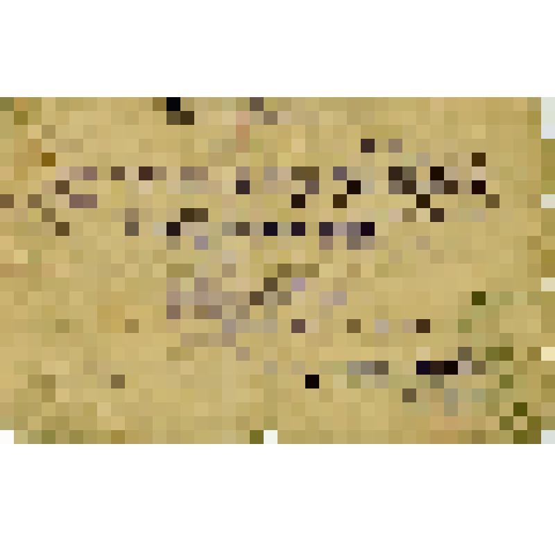 Удостоверение N 376 т. Борсука - зав. комсомольской школой по Кустанайскому уезду