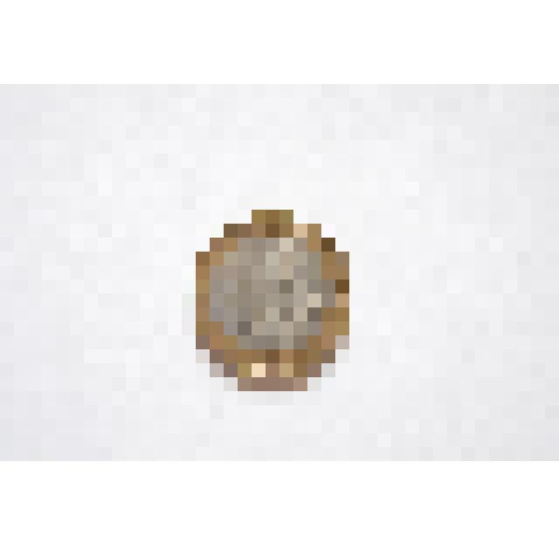 Монета 10 рублей, банк России, 2000г