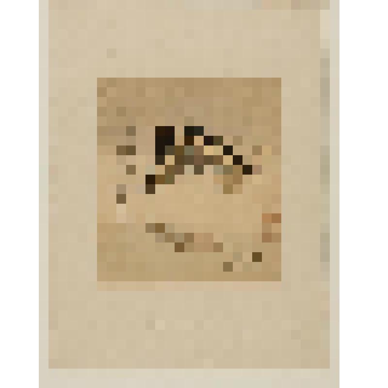 Эстамп. Бабочки