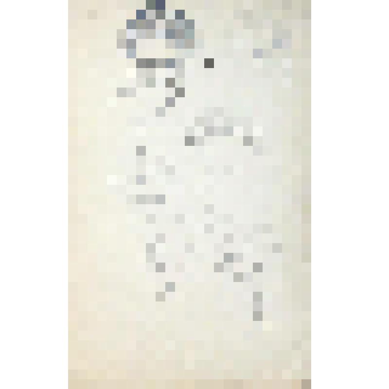 Лист № 98. Из папки "Рисунки разных лет с 1951."