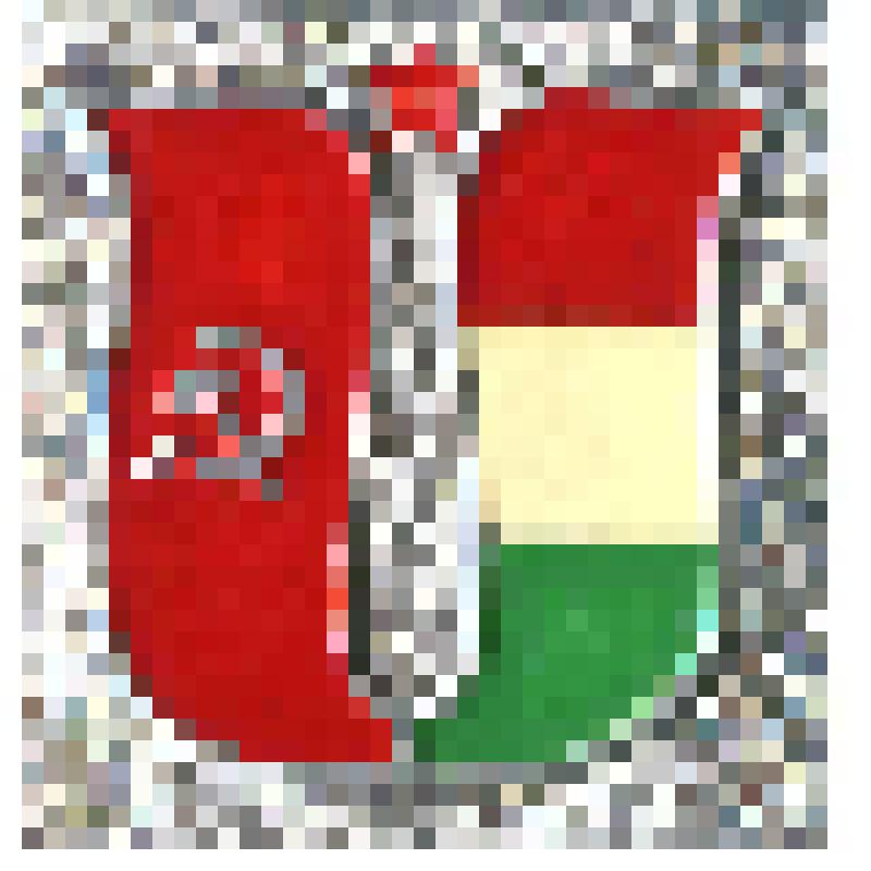 Значок. Флаги СССР и Венгрии, на булавке. СССР