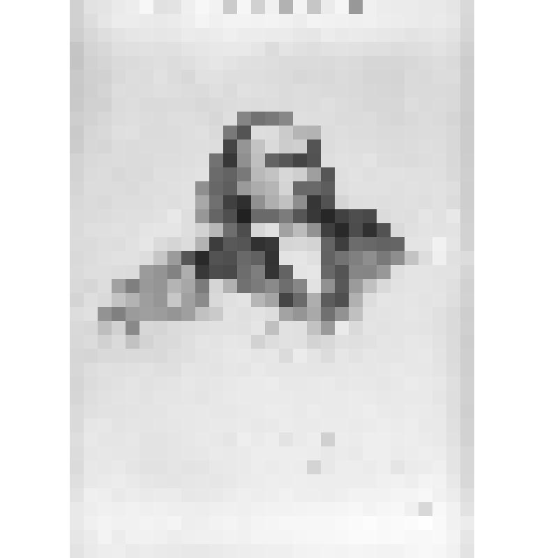 Негатив. Серов А.Н. 1820-1871 гг.
Композитор.
С литографии Борелля