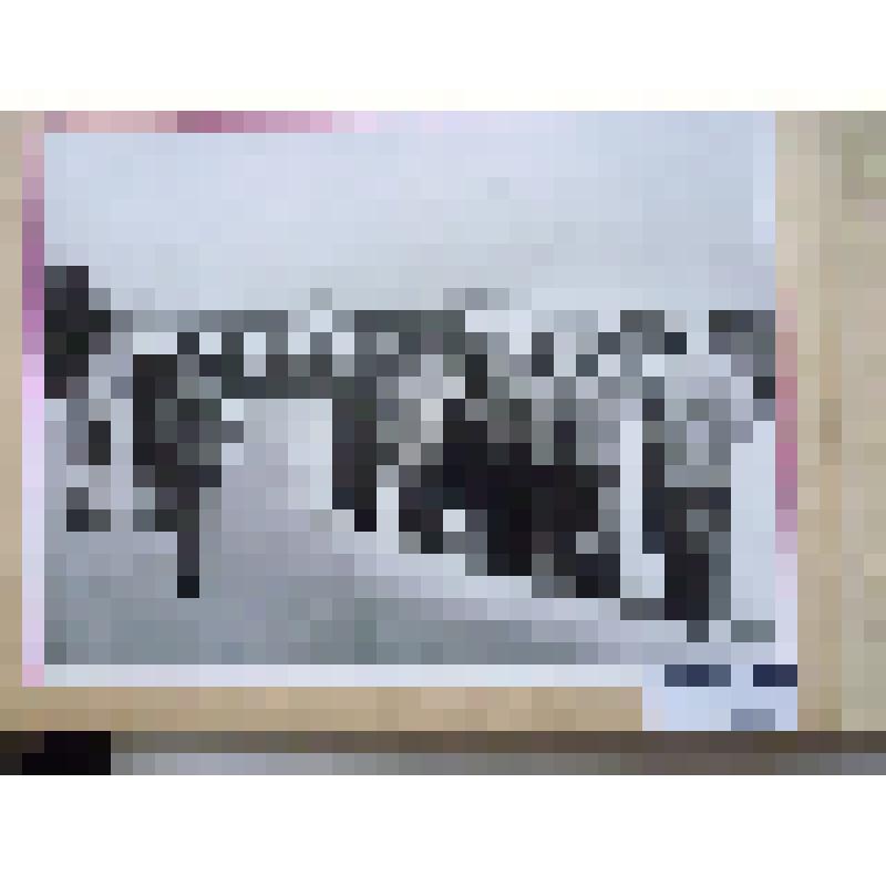 Фотоматериалы к истории  г. Георгиевска. Альбом "Дни литературы и искусства Грузии в РСФСР" к 200-летию дружбы и братства между Грузией и Россией. Фотография групповая