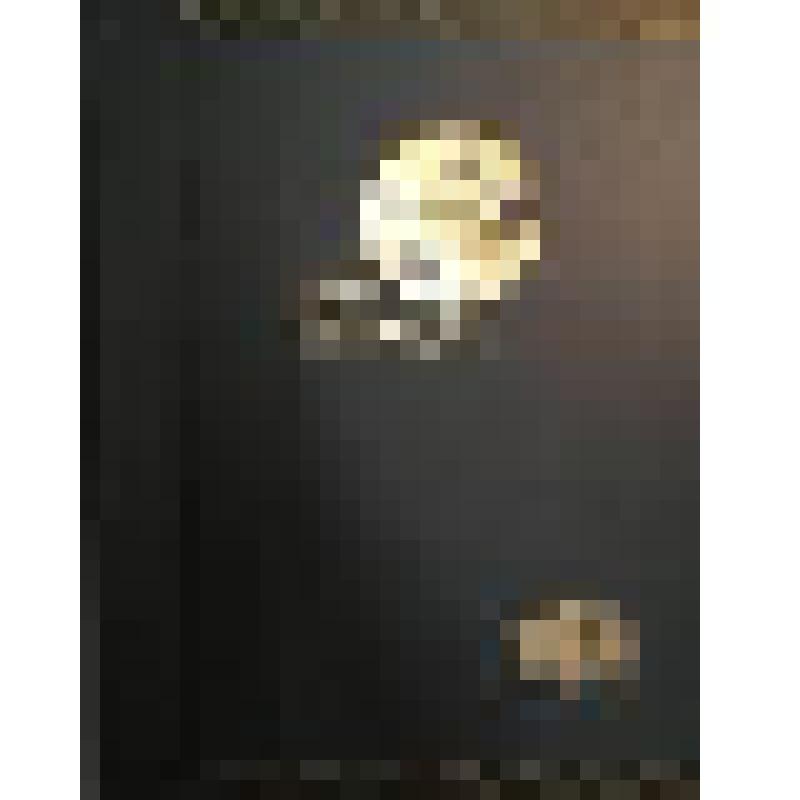 Das Interieur. Wiener Monatshefte für Wohnungsausstattung und für angewandte Kunst. (Интерьер), журнал. Wien. Kunstverlag Anton Schroll & С°˙ VJahrgang