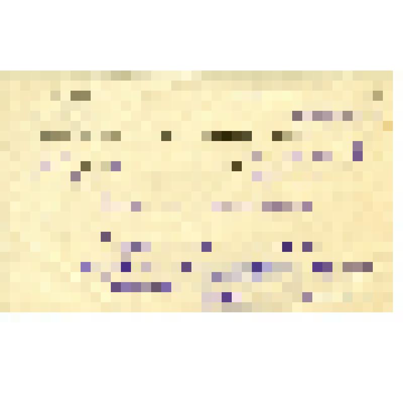 Исследование