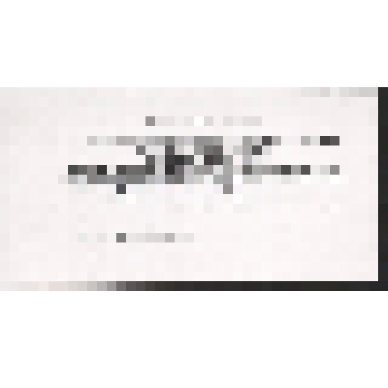 Поздравление Правления Союза писателей УР Богомоловой З.А. с 66-ой годовщиной Великой Победы