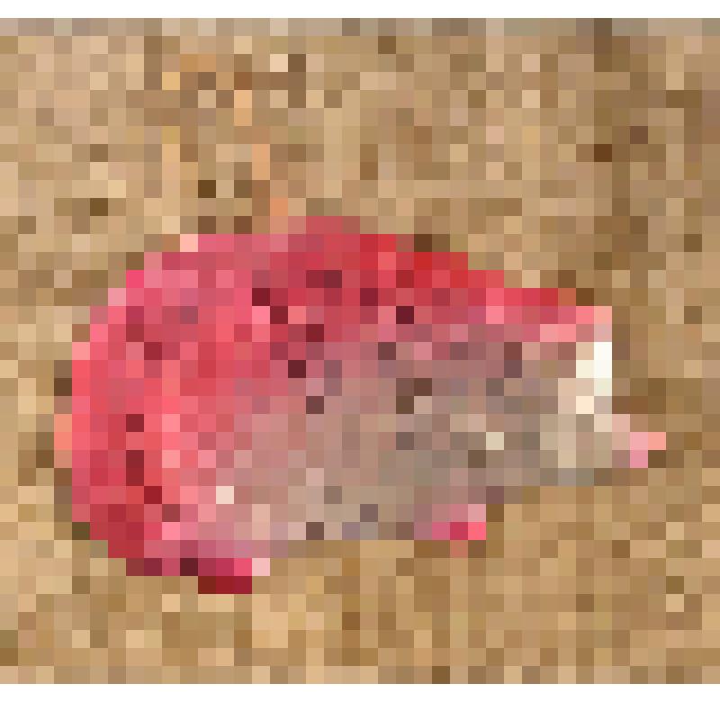 Игрушка елочная картонажная «Ёж», из коллекции елочных игрушек и украшений