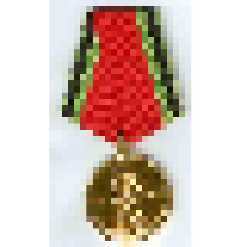 Медаль наградная юбилейная "20 лет Победы в Великой Отечественной войне 1941-1945 гг" Полущева Федора Николаевича