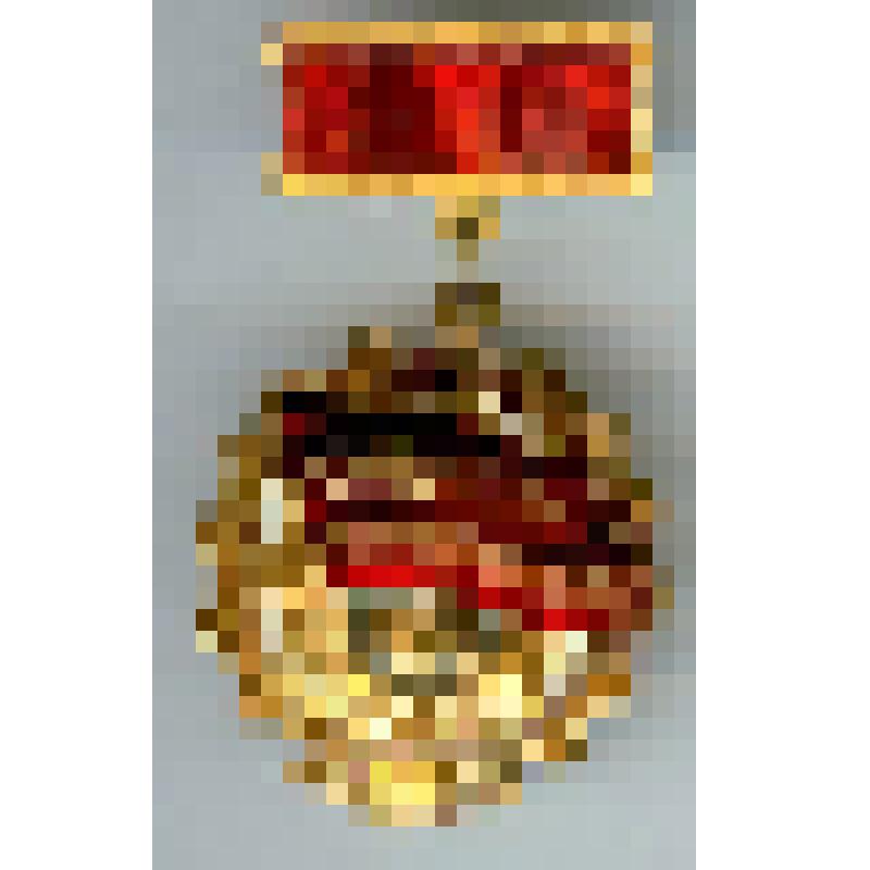 Знак нагрудный наградной «Победитель соцсоревнования 1976» Абрамова Николая Васильевича, слесаря-инструментальщика завода «Сардизель»