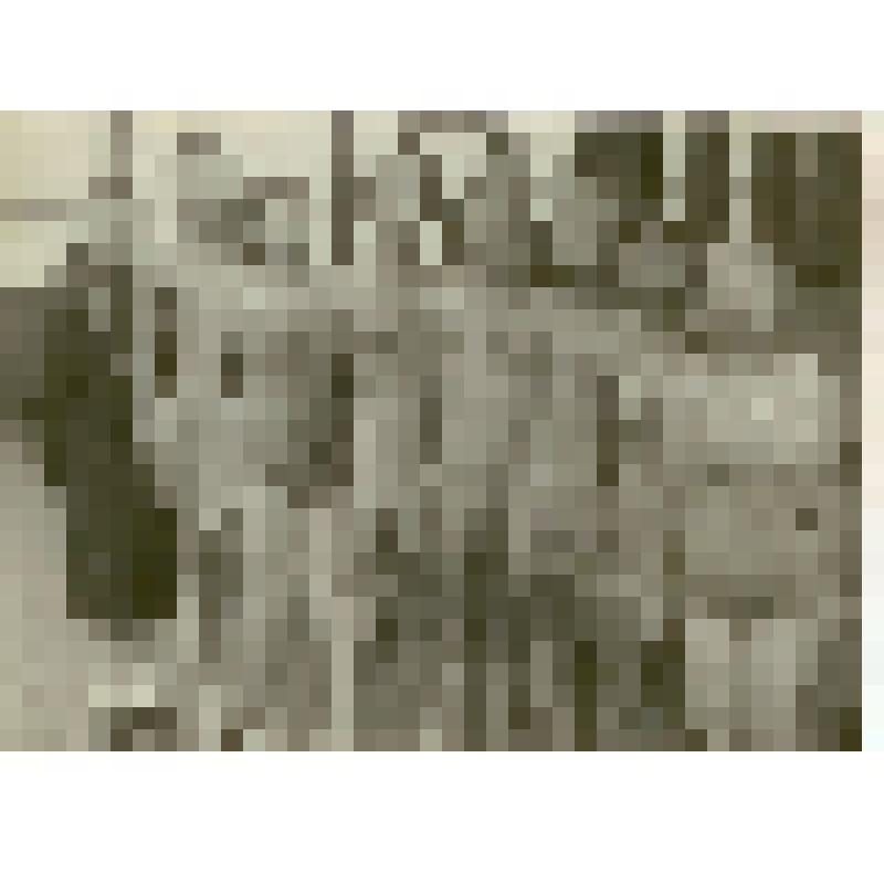 Фотография. Сургучева О.С., директор саратовской детской спортивной школы гороно, с командой пловцов