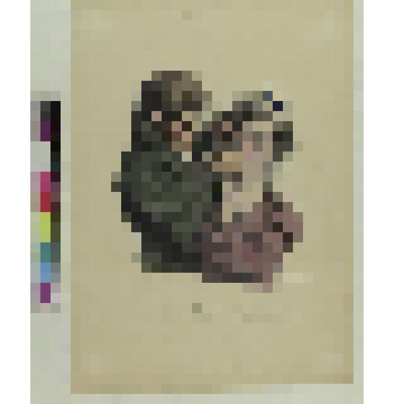 Прорезанные уши, литография